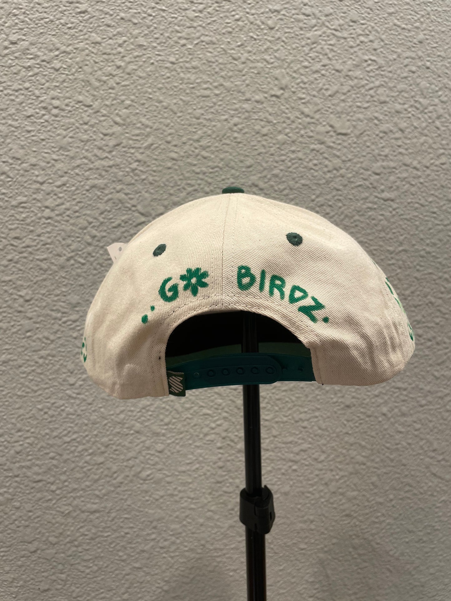 Philadelphia EAGLEZZ Hat