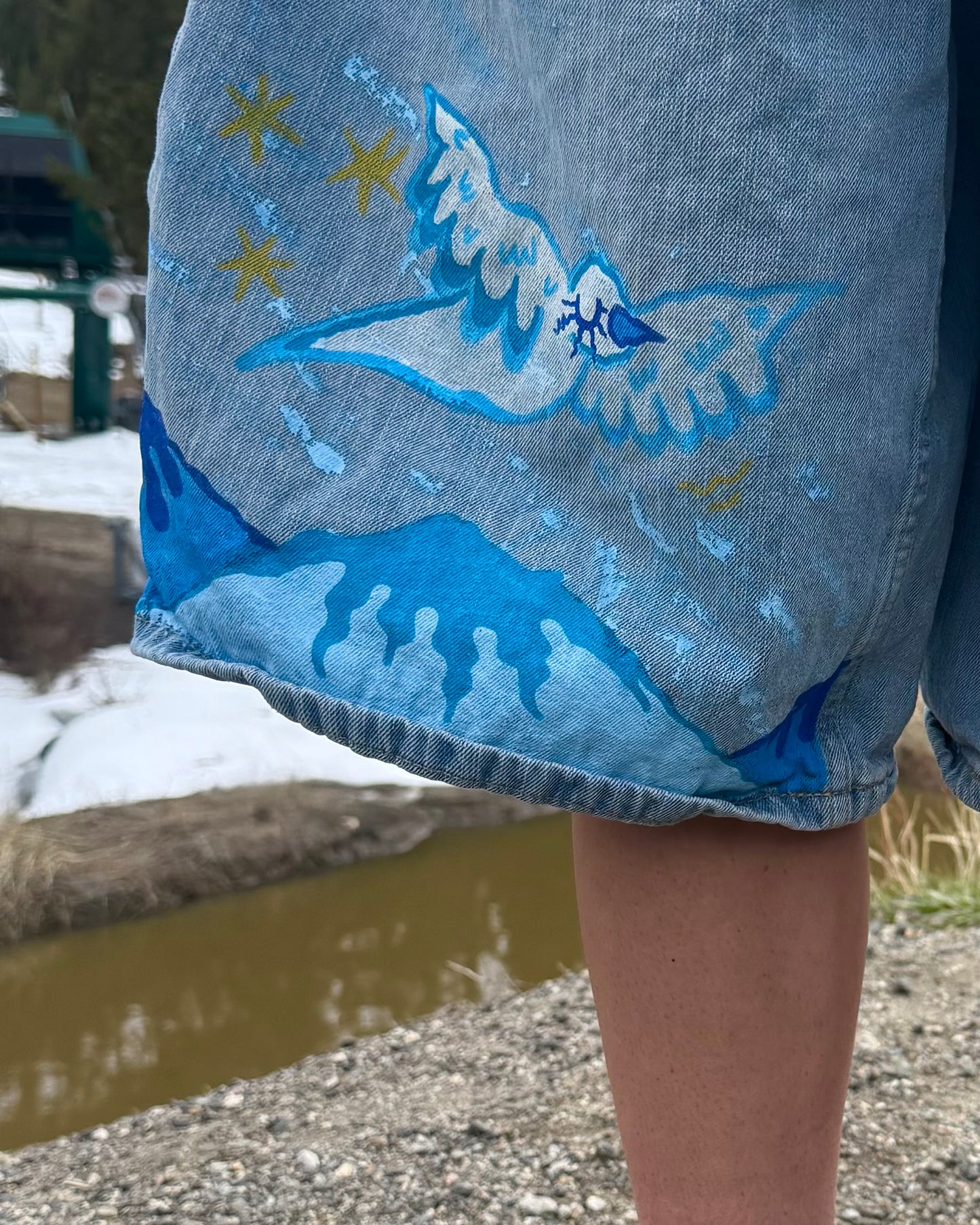 Cowgirl Jorts